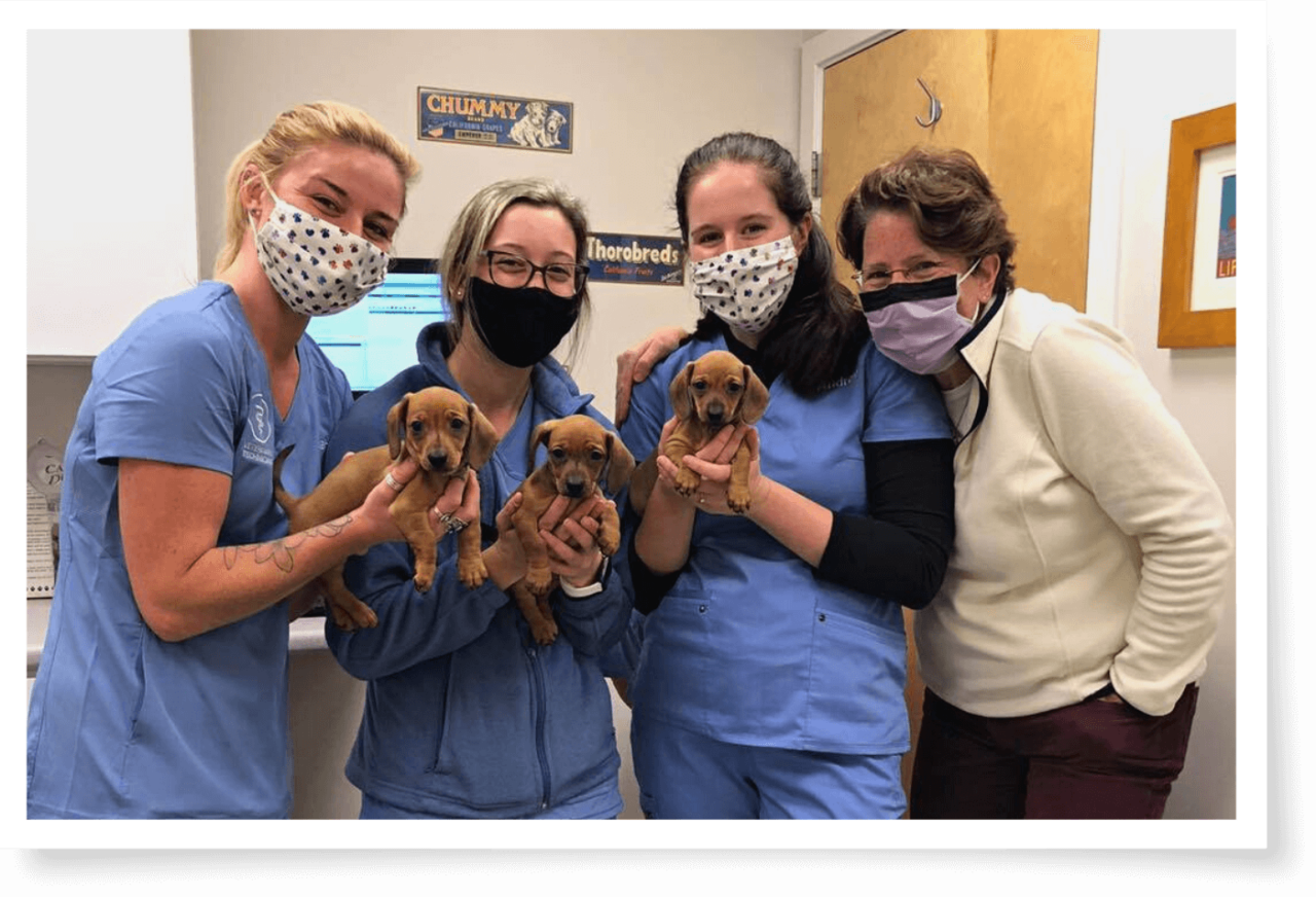 Best Veterinary Hospital In Providence, RI 02903