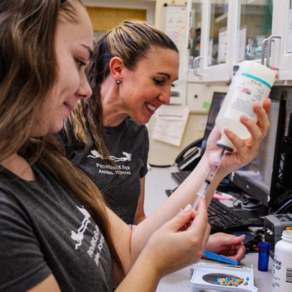 Two vets working in the pharmacy