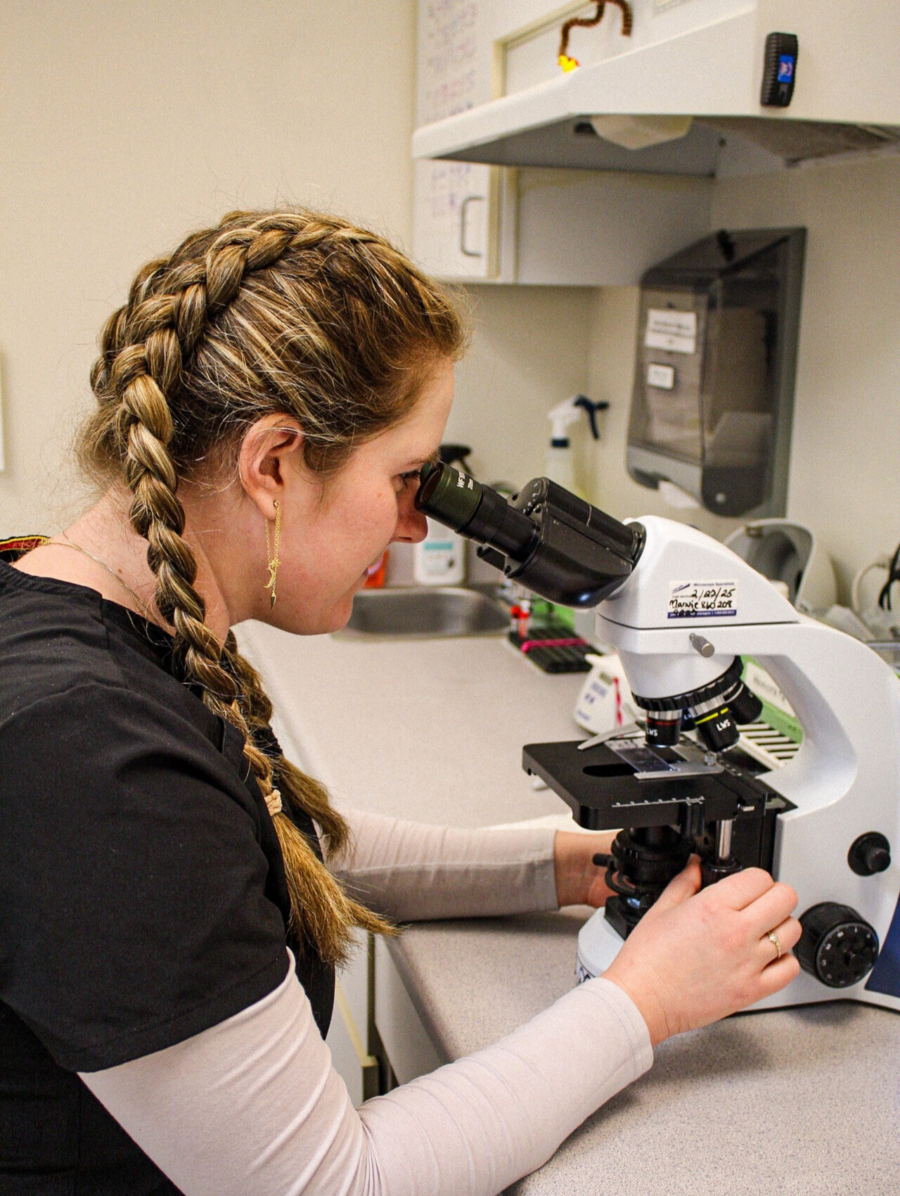 audrey microscope